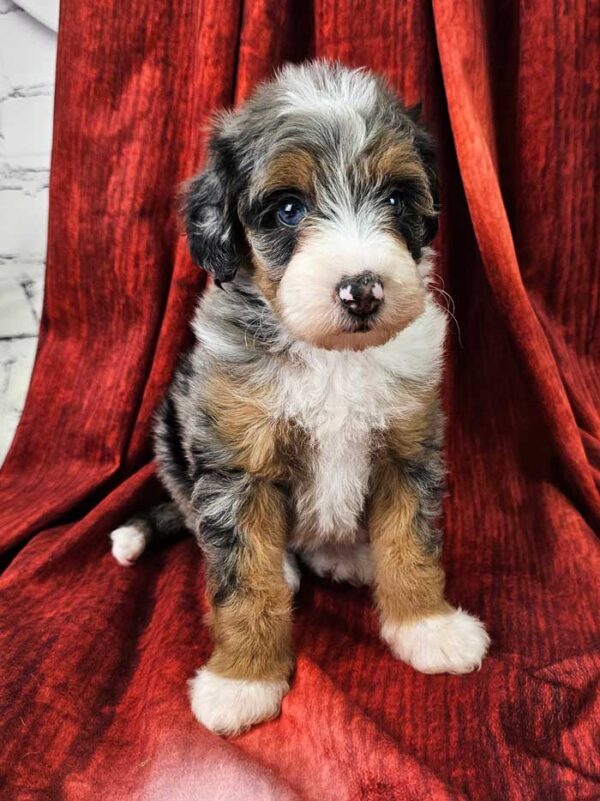 Maddie